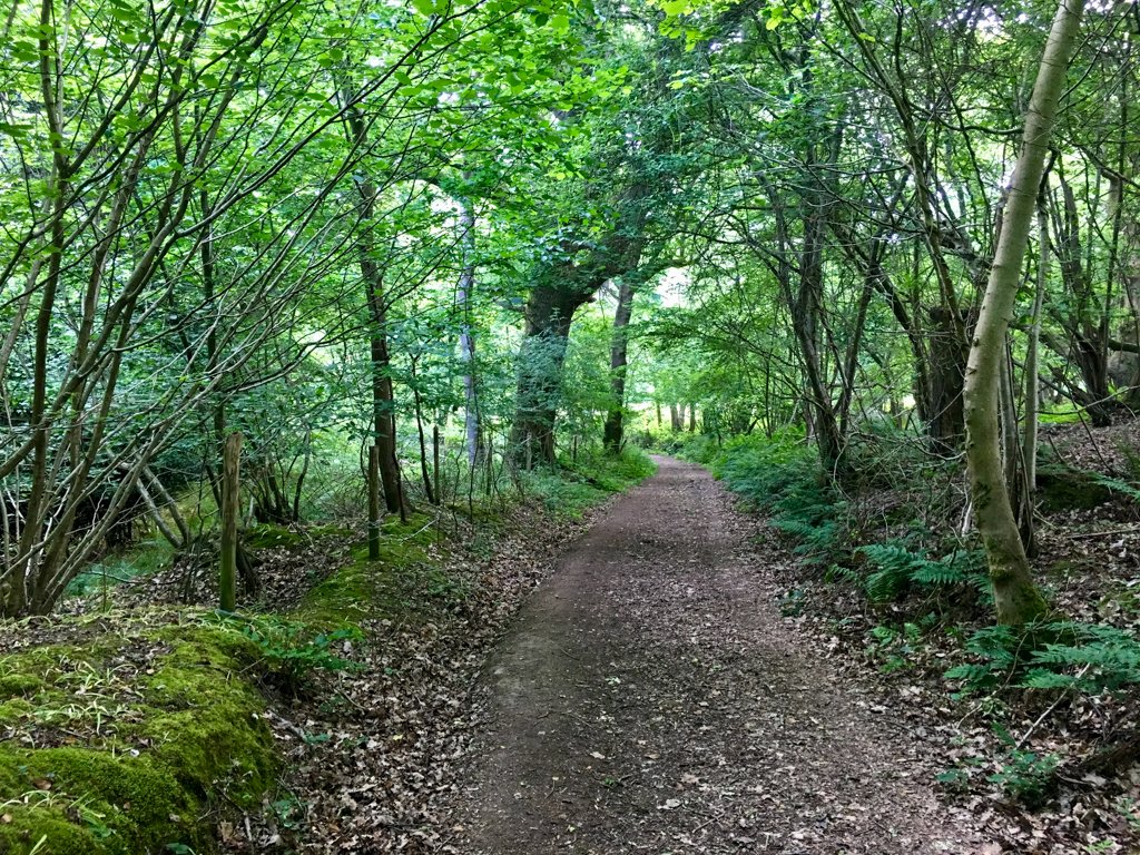 Avenue Verte 190603 0924 054