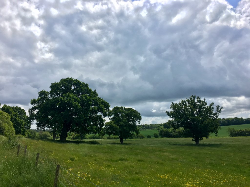 Avenue Verte 190603 1144 055