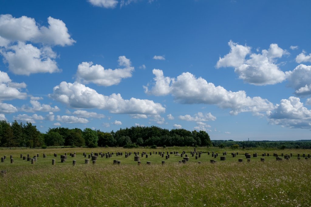 Avenue Verte 190606 1545 140