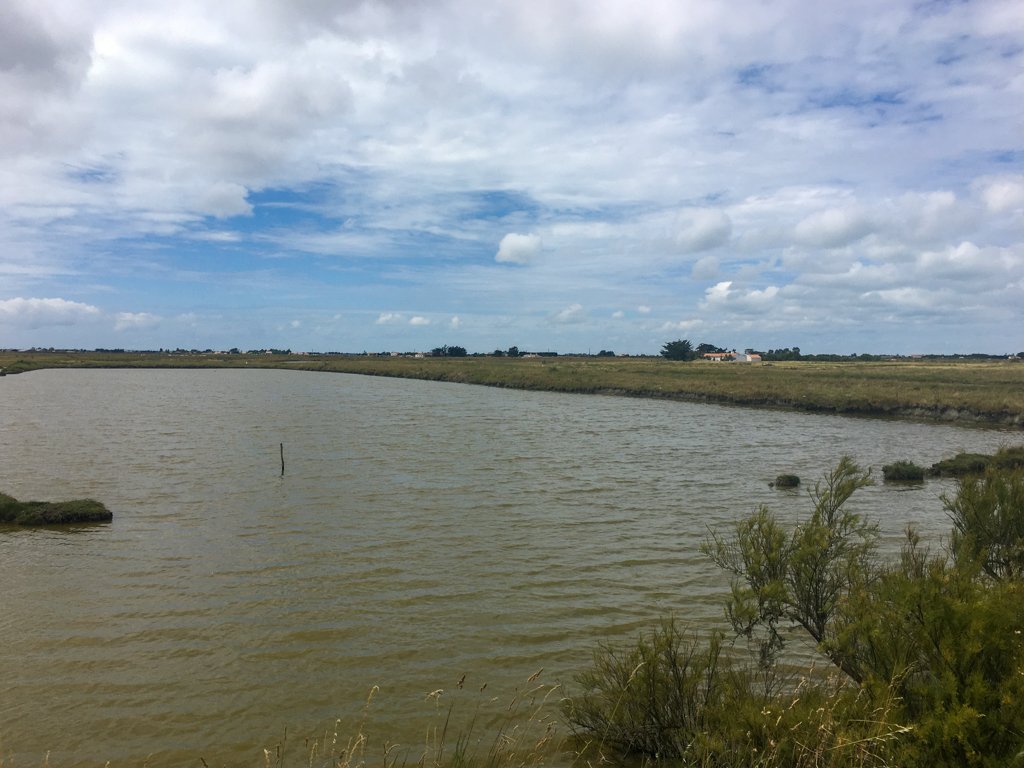 Vélodyssée 200619 1429 823