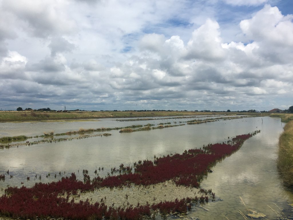 Vélodyssée 200619 1501 824