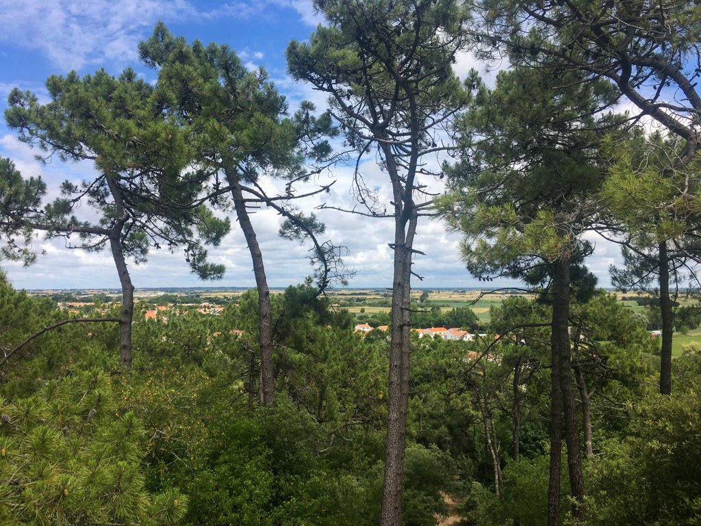 Vélodyssée 200619 1530 825