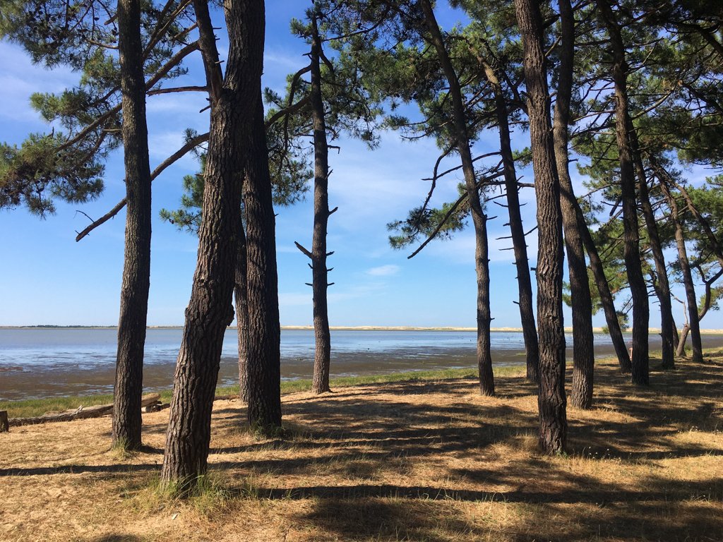 Vélodyssée 200624 1049 927