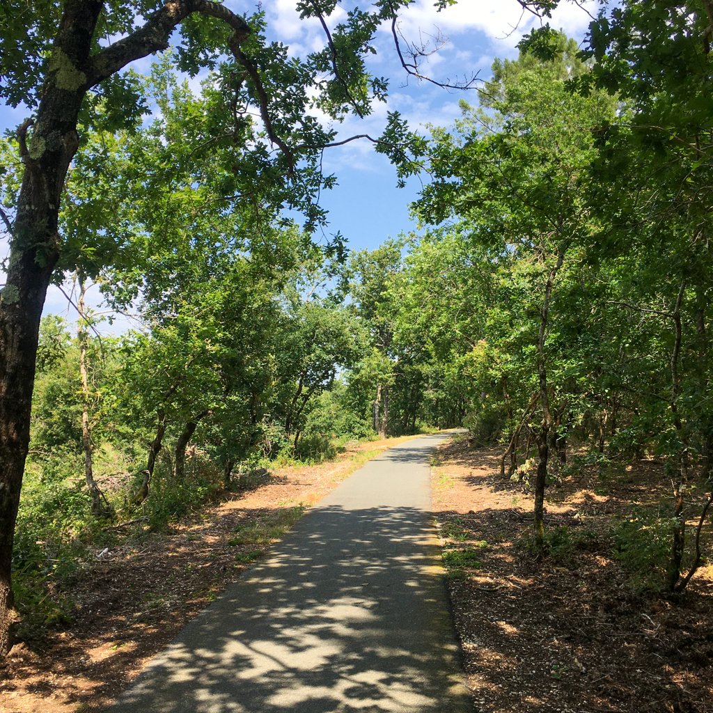 Vélodyssée 200625 1546 948