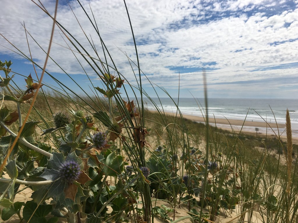 Vélodyssée 200627 1735 964