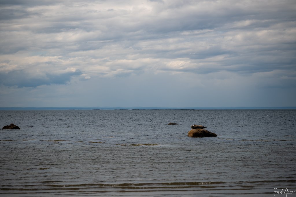Bas-Saint-Laurent – Parc du Bic – Québec – Canada