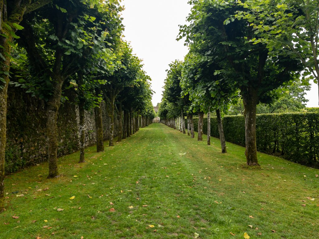 Loire à Vélo château de Villandry