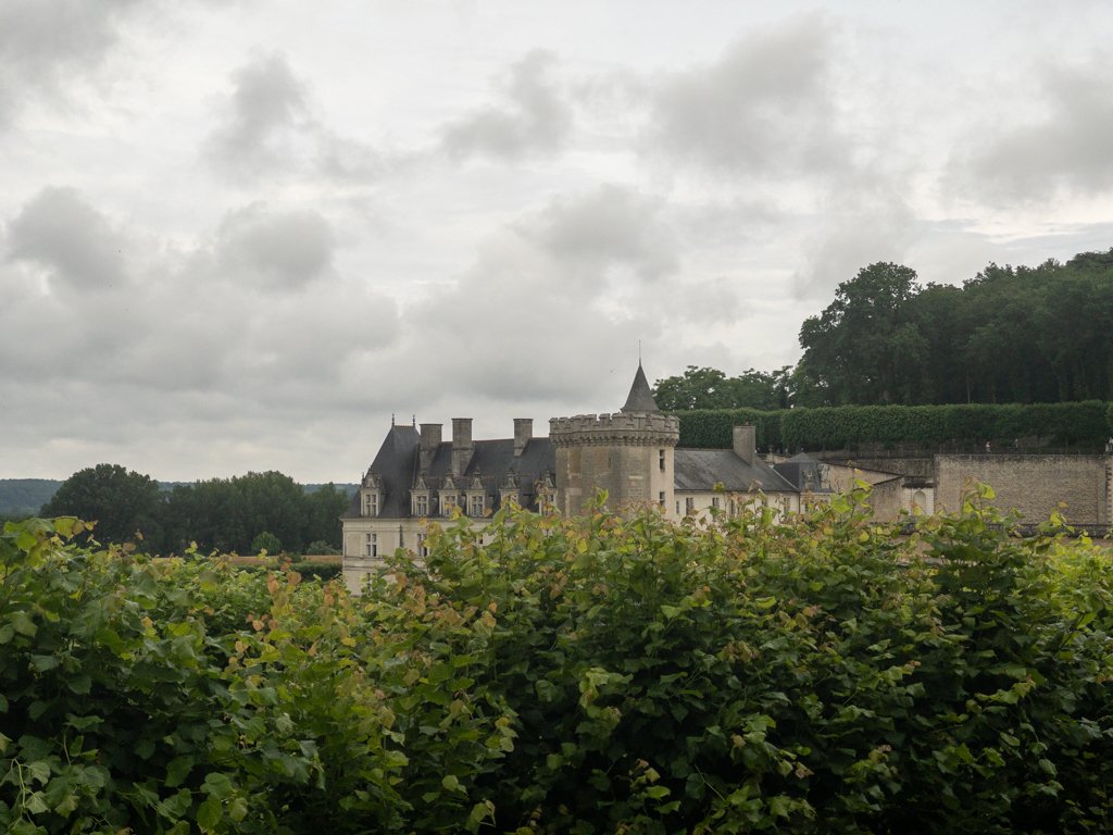 Loire à Vélo château de Villandry