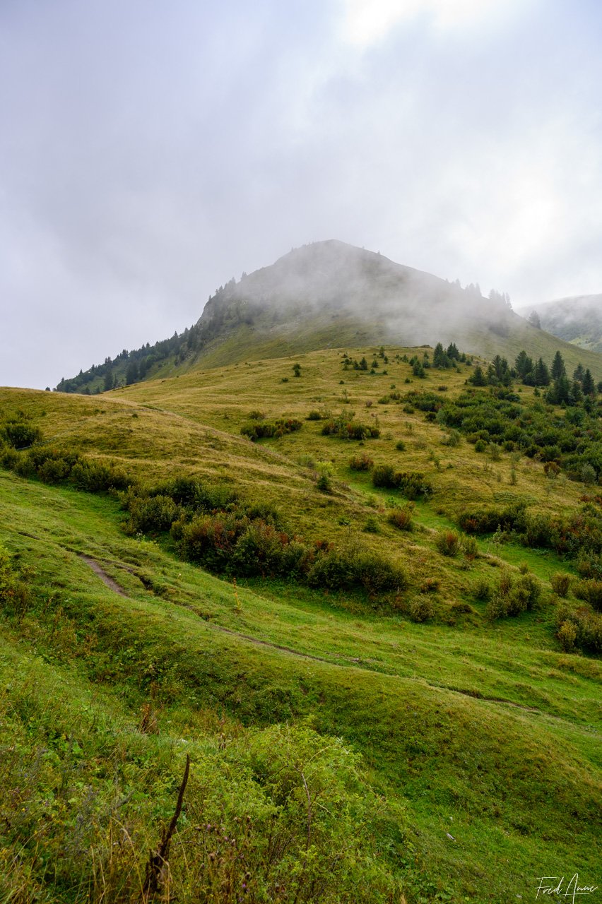 Road Trip 100924110523