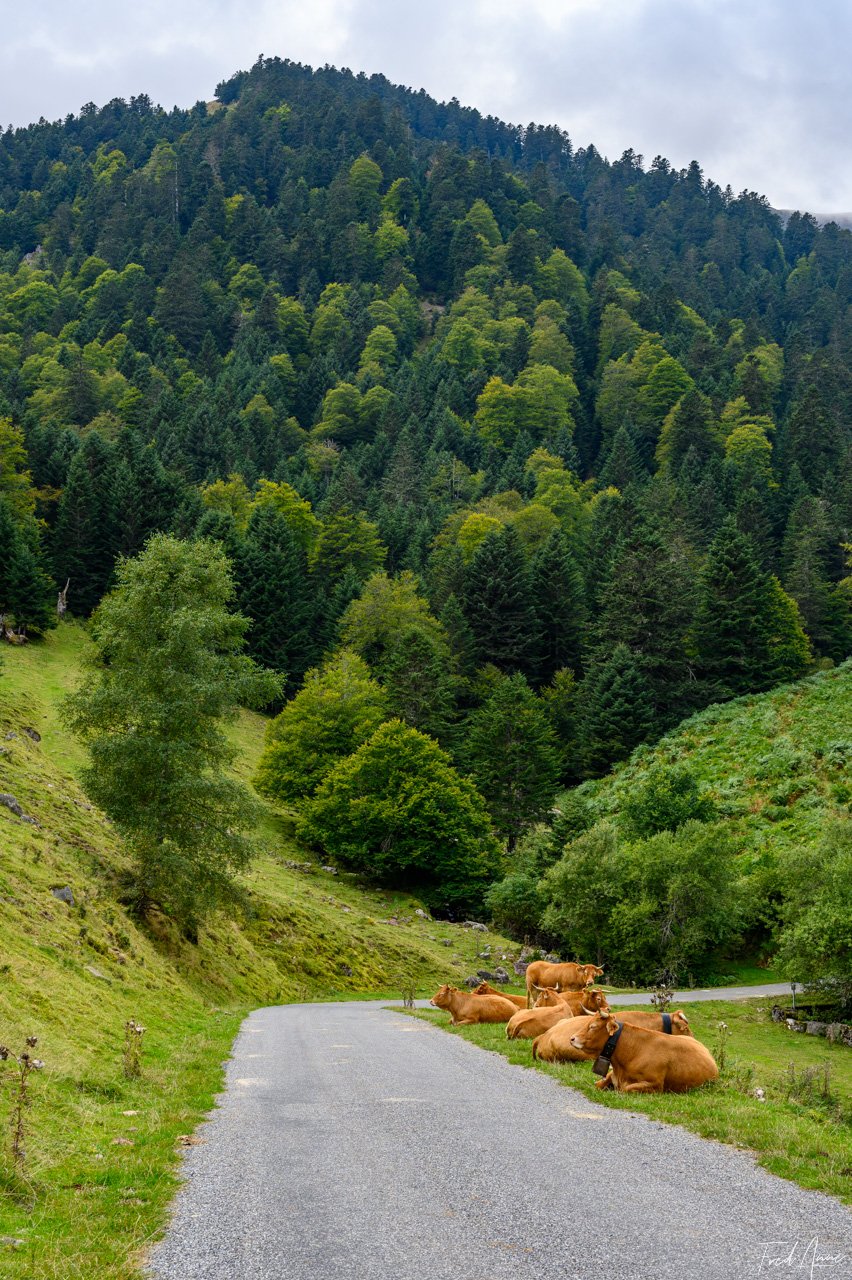 Road Trip 180924150431