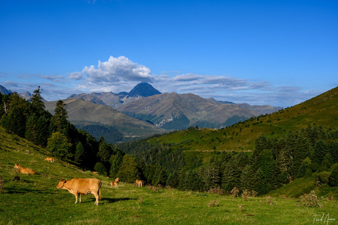 Road Trip 190924093813