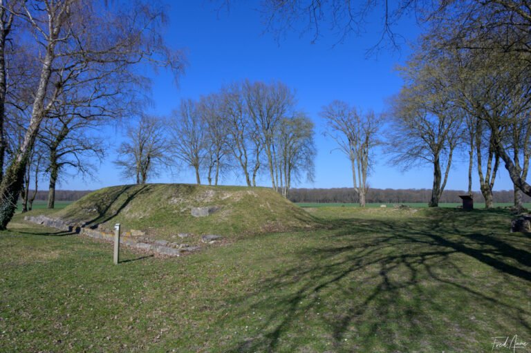 Site gallo-romain de Champlieu
Le Temple