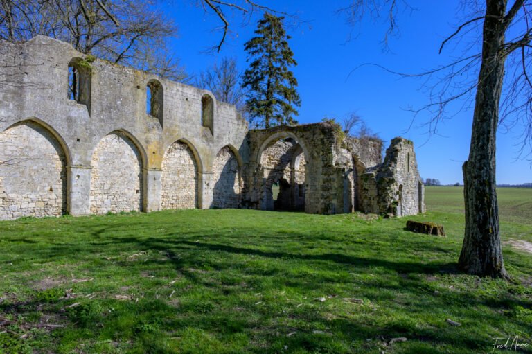 Ruine de la Chapelle romane