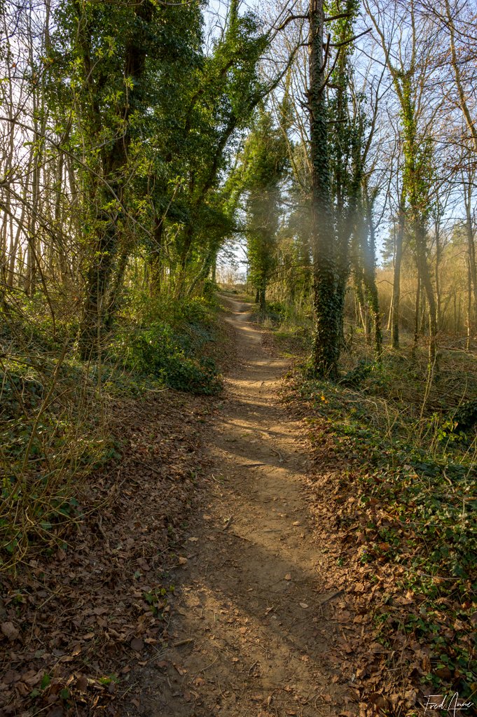 Chemin des dames-52