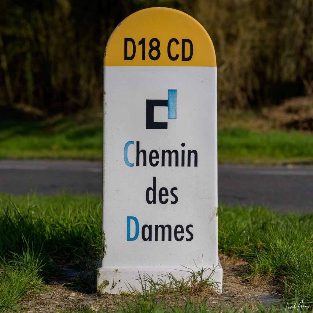 Chemin des dames 80