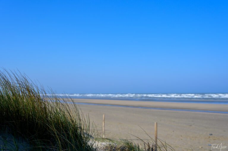RT_Normandie_2025_106