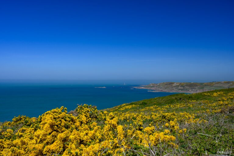 RT_Normandie_2025_200