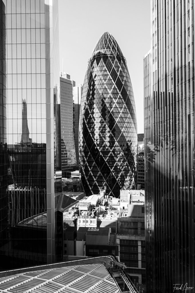 25 33 the gherkin